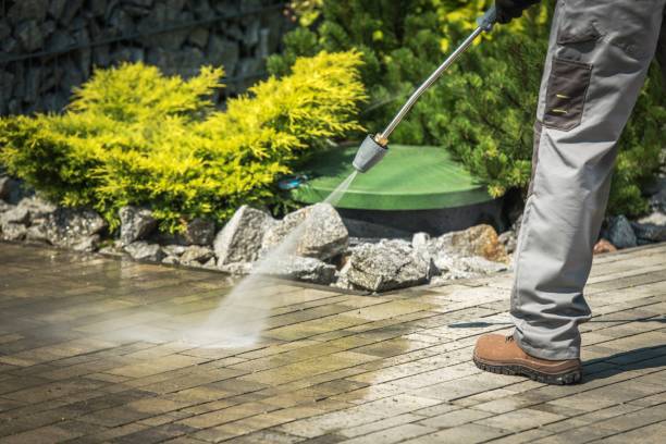 Best Restaurant Pressure Washing  in New Port Richey, FL