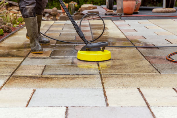 Best Rust Removal  in New Port Richey, FL