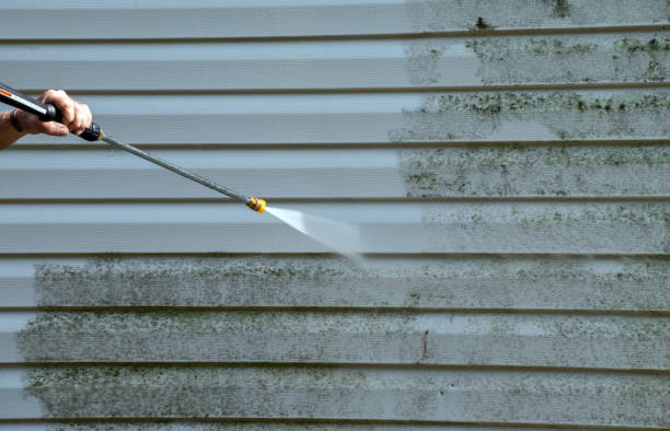 Boat and Dock Cleaning in New Port Richey, FL